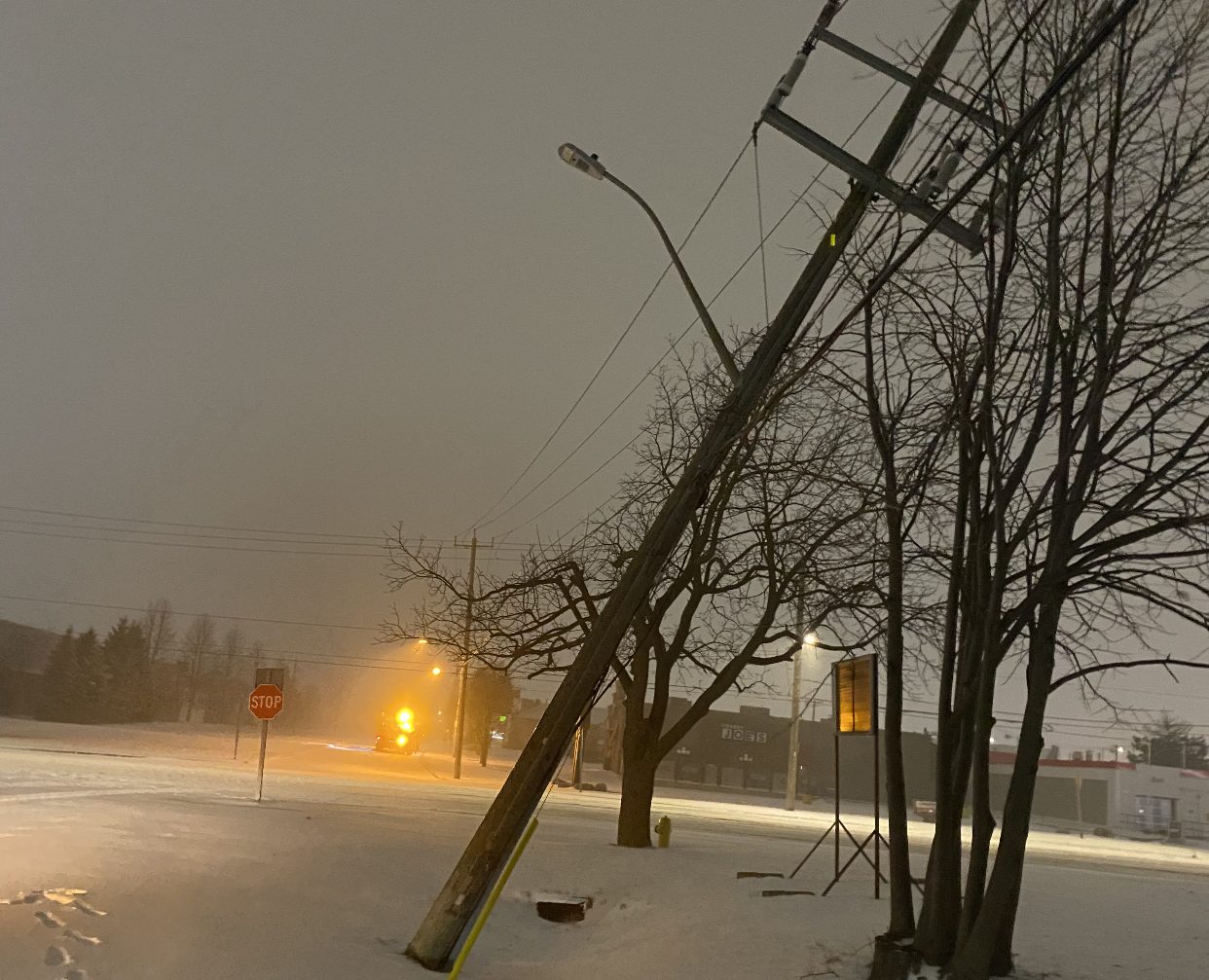 Tree falls over onto a powerline in the winter.