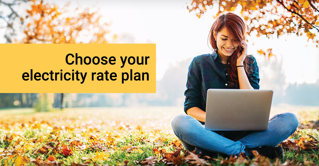 Girl on her computer with the caption "Choose your electricity rate plan"