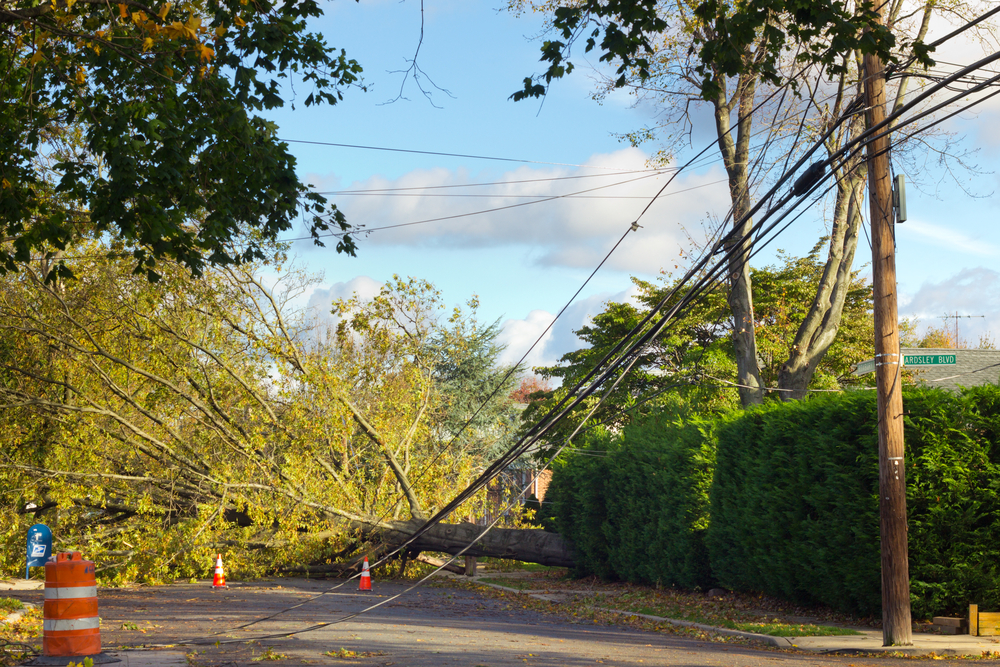 A downed power line may be the cause of an outage.