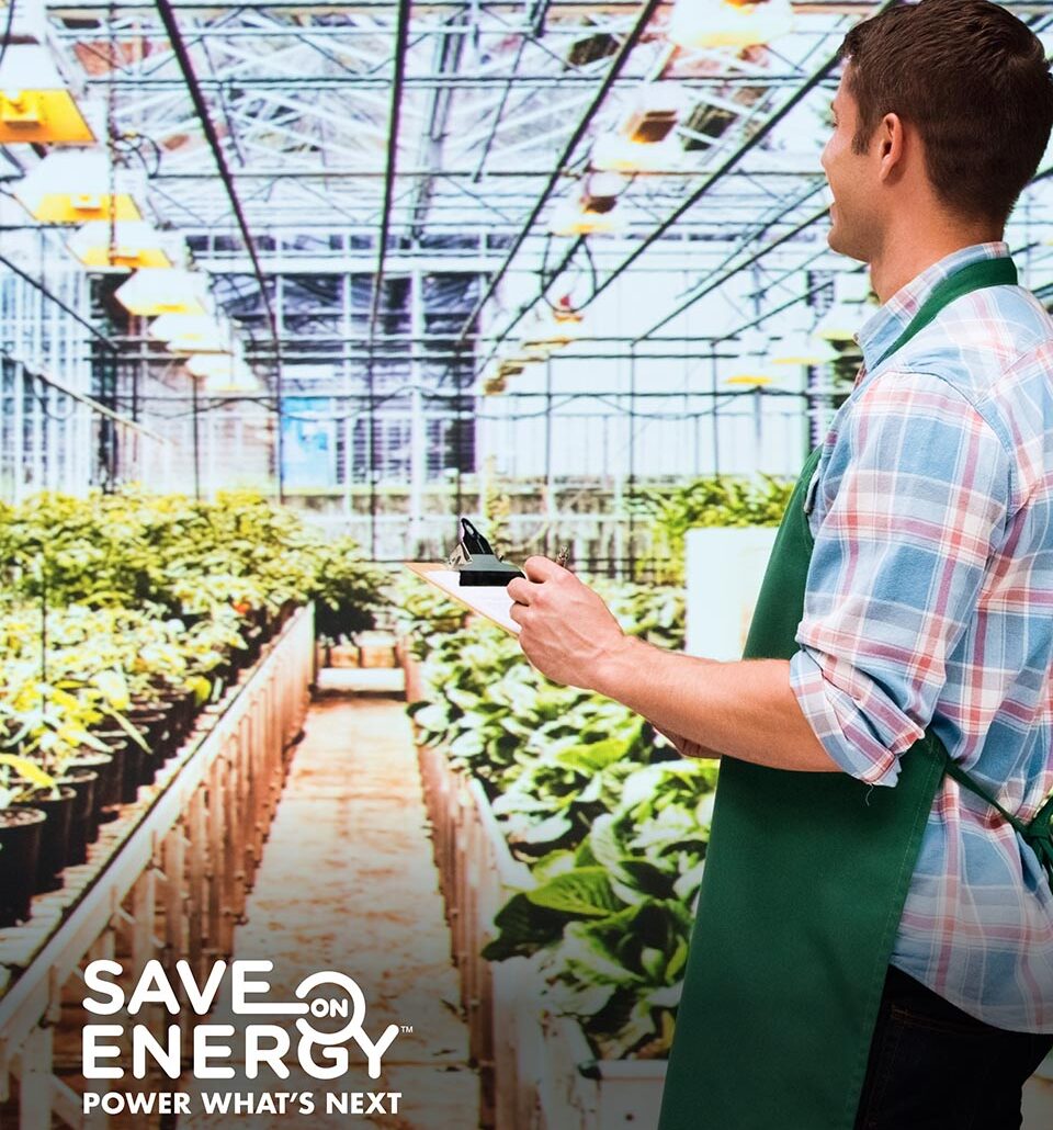 Man works in a greenhouse brightly lit by special lighting