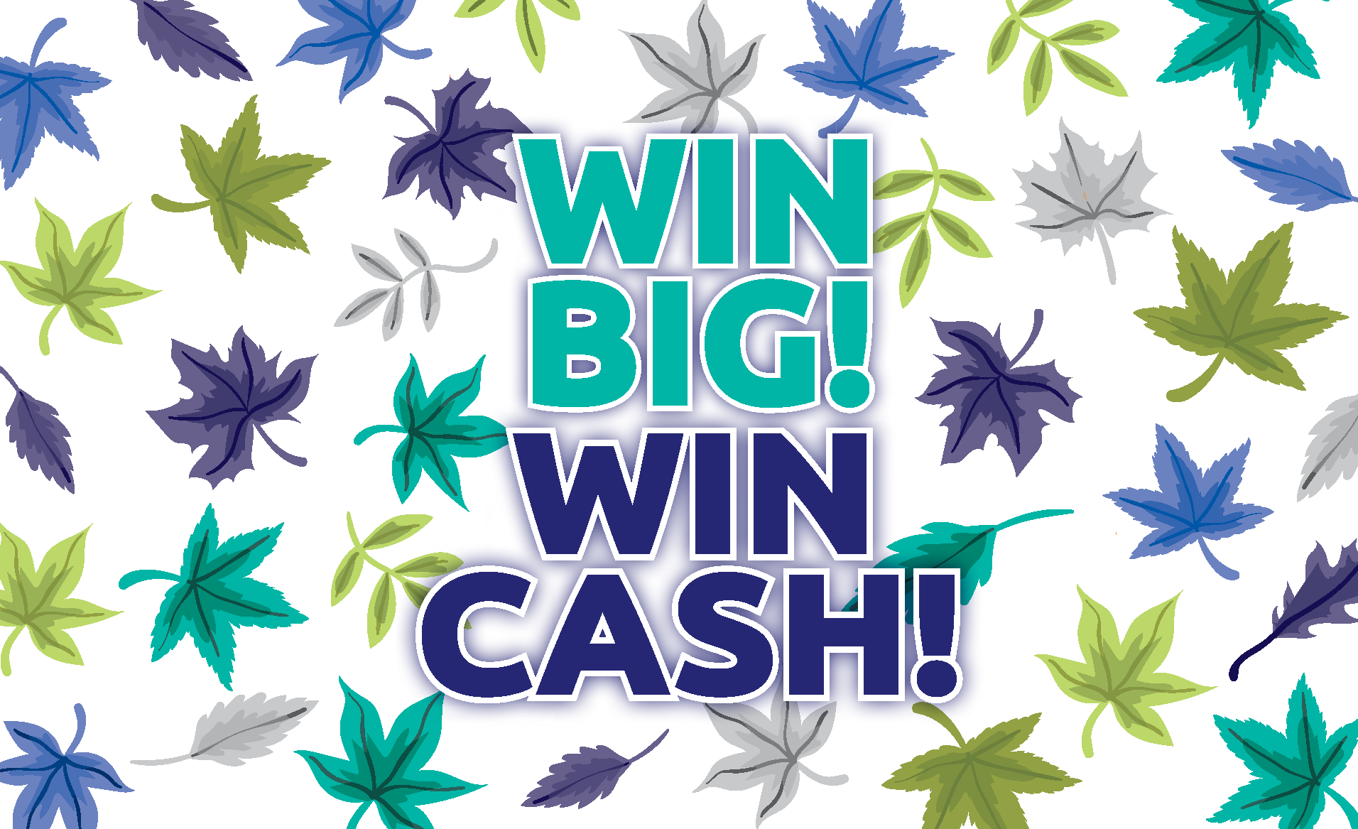 Win Big Win Cash graphic