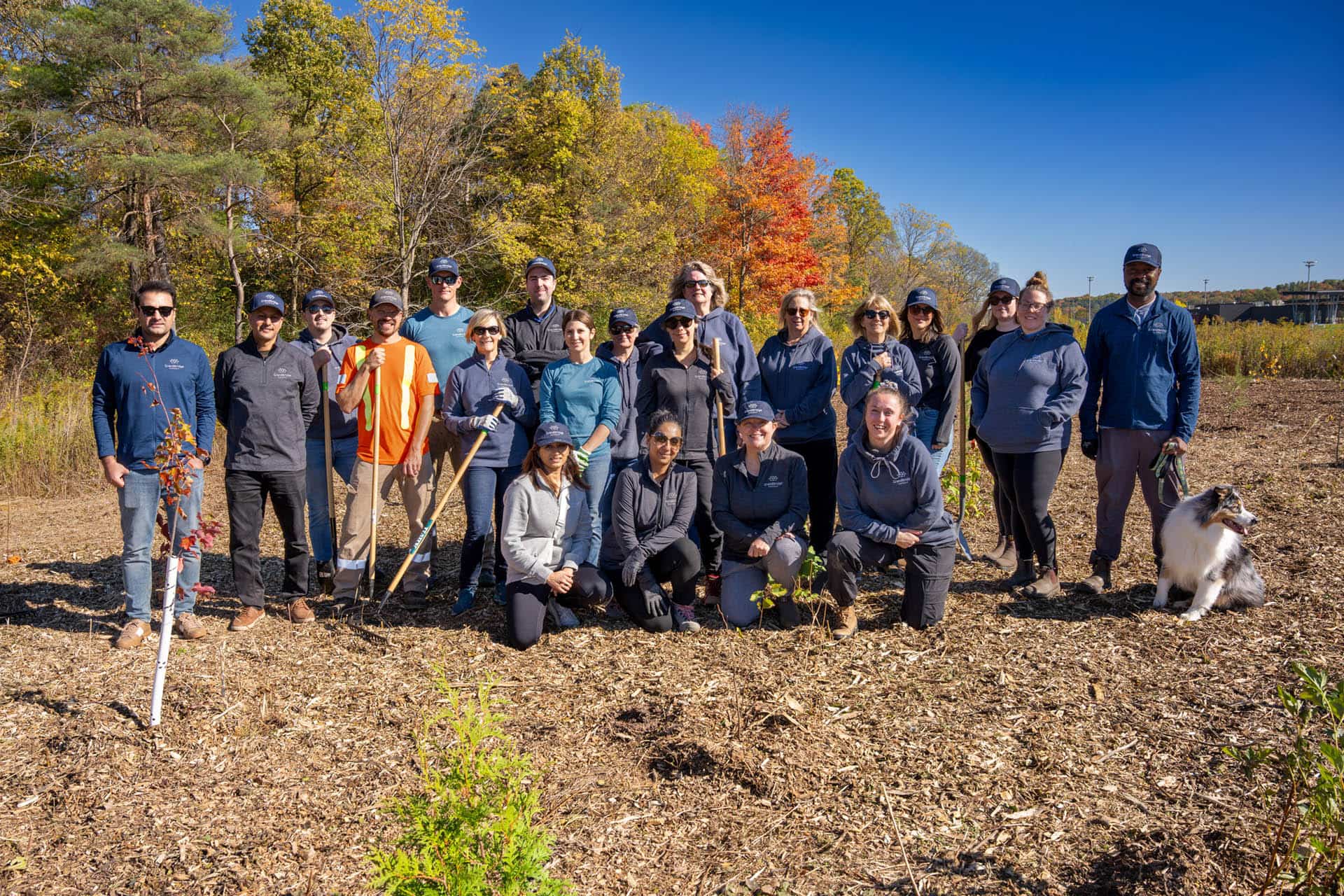 Group of employees pose for picture in the microforest they helped plant