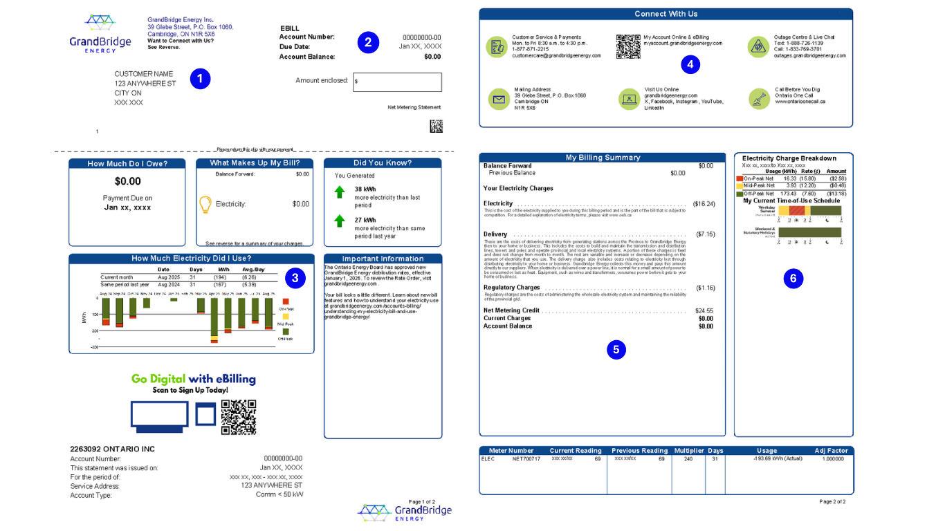 Image of a Net Metering Statement