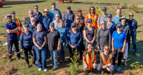 A group of 30 volunteers from GrandBridge Energy stand in the Ayr Microforest